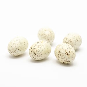 CH219 Dekoregg Hvit 7439