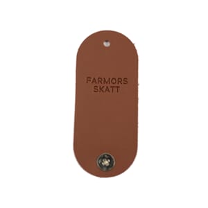 SL318 Skinnlapp Farmors skatt 5842
