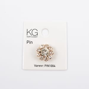 PIN1004_1.jpg